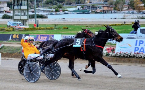 I Gocciadoro sono Trendy e Ok