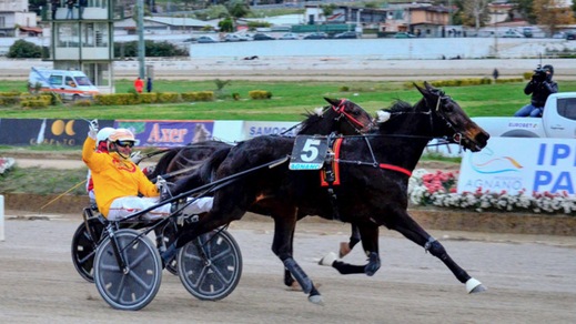 I Gocciadoro sono Trendy e Ok