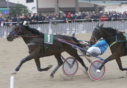 Allevatori, una vera rivincita