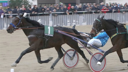 Allevatori, una vera rivincita