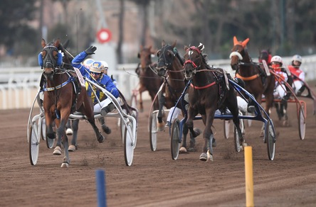 Minnucci in gol con Zlatan