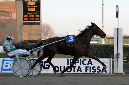 #30/12/2018 Ippicanews