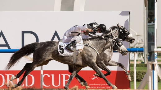 Khalifa Al Nabooda investe in Italia