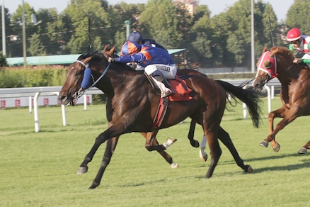 #21/12/2019 Ippicanews