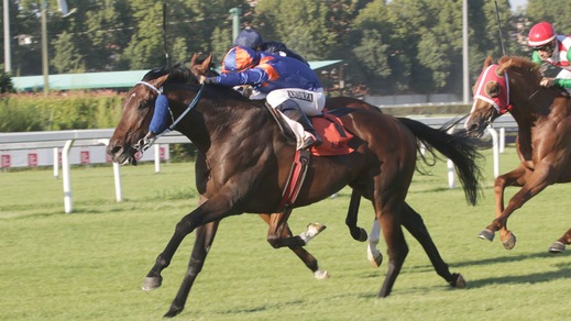 #21/12/2019 Ippicanews