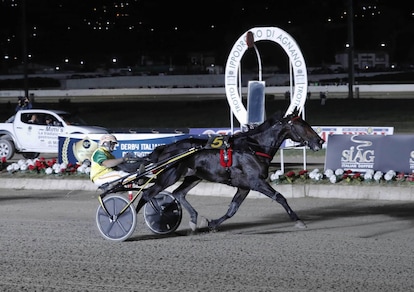 #24/12/2019 Ippicanews