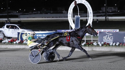 #24/12/2019 Ippicanews