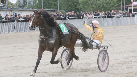 Gran premi 2020? Per adesso soltanto una metà