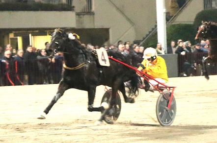 #27/12/2019 Ippicanews