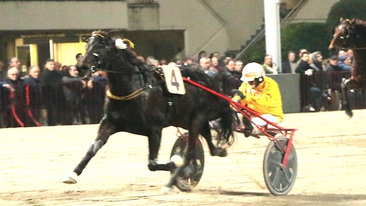 #27/12/2019 Ippicanews