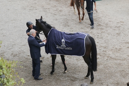 Scudetti 2019: manca soltanto quello dei gentlemen driver