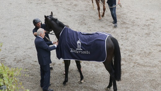 Scudetti 2019: manca soltanto quello dei gentlemen driver