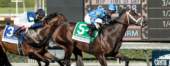 #27/12/2020 Ippicanews