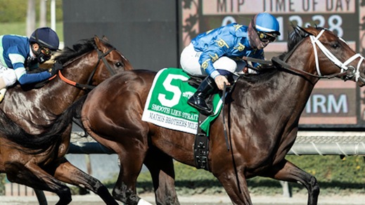 #27/12/2020 Ippicanews