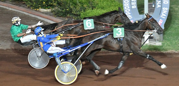 #30/12/2020 Ippicanews