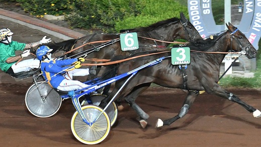 #30/12/2020 Ippicanews