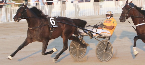 #6/1/2021 Ippicanews