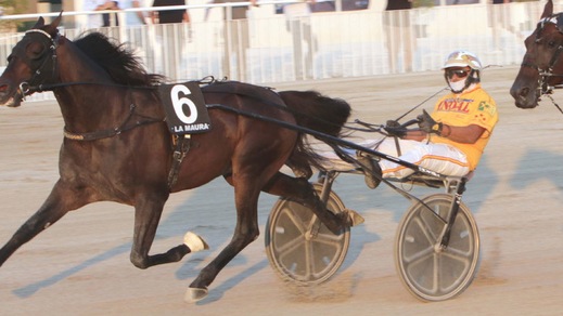 #6/1/2021 Ippicanews