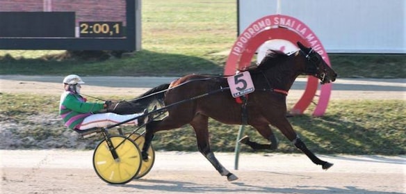 #9/1/2021 Ippicanews