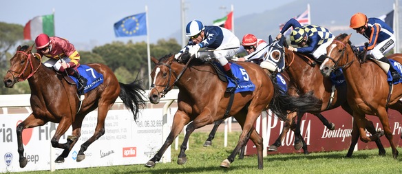 #15/1/2021 Ippicanews