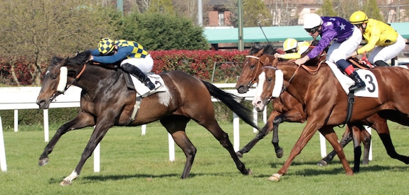 #20/1/2021 Ippicanews