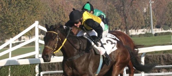 #24/1/2021 Ippicanews