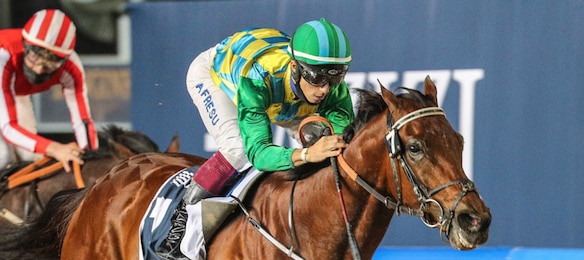 #22/1/2021 Ippicanews