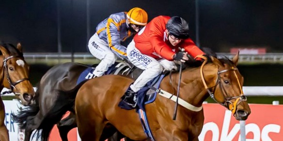 Shopping italiano "on line”