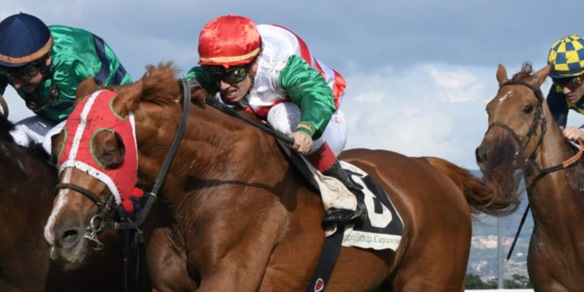 Anche "Demurino” a Riyadh