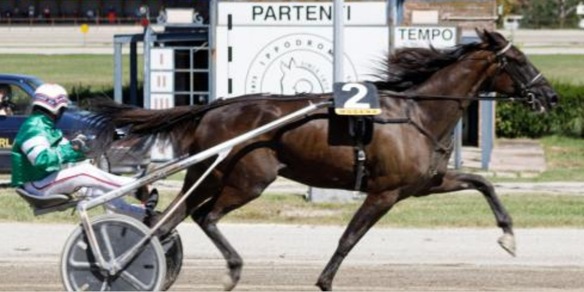 Blackflash è tornata al Bar