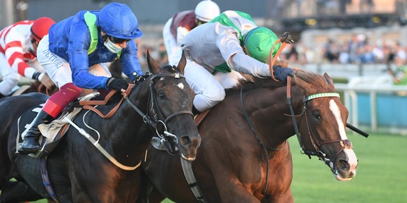 Il caso-Tuscan Gaze al TAR