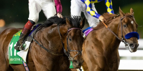 Charlatan, bye bye Arabia