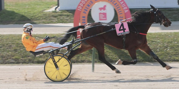 Il record passa a Cash Bank Bigi