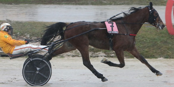 Gocciadoro torna in pista