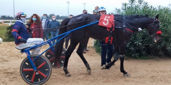 Benjamin positivo nell'Andreani