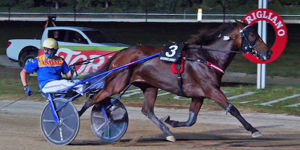 Tre italiani al Vitesse