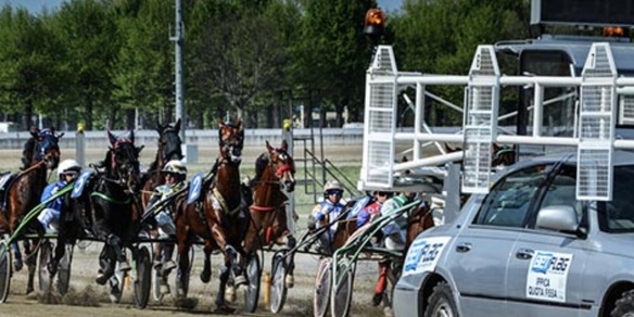 Niente calendario? Niente iscrizioni