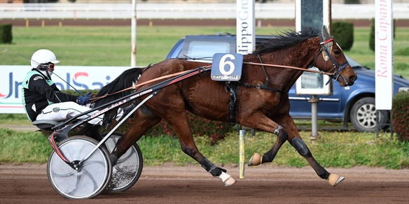 Bellei a quota diecimila