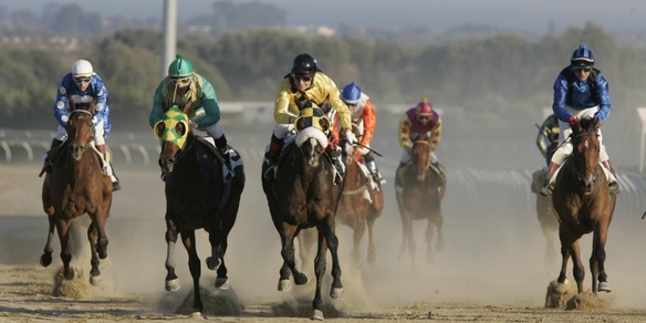 La Sicilia blocca i cavalli