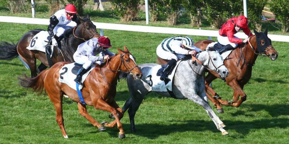 I Demuro's a tutto... mondo