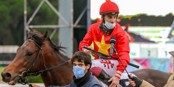 Anche Collinsbay all'asta on line