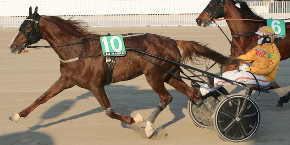 Un rivale Heavy per il "biondo”