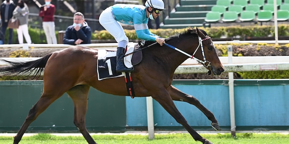 Blu Metal Jacket, au revoir