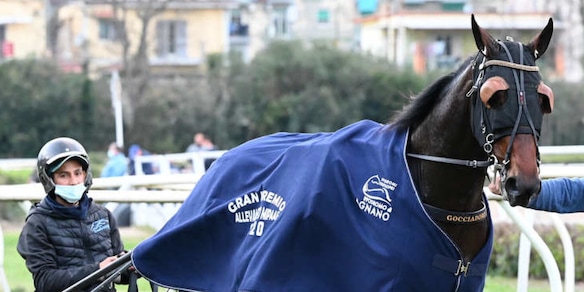 A.A.A. cercasi disciplinare Derby