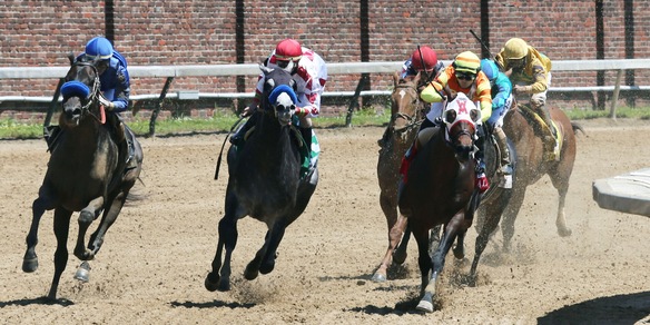 Rispoli: Il mio è a 50/1, però...