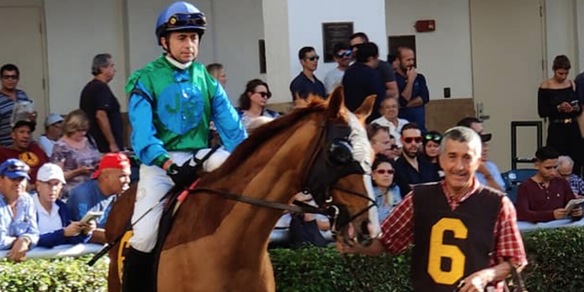 Panici, è l'ora della ripartenza