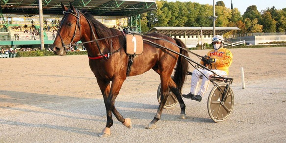 Alrajah, One per il "Freccia”