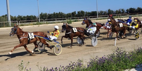 Ippodromi pronti allo stop