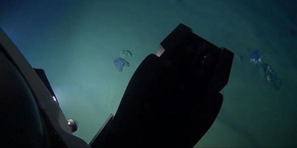 Nella terza fossa oceanica più profonda del mondo un ritrovamento incredibile