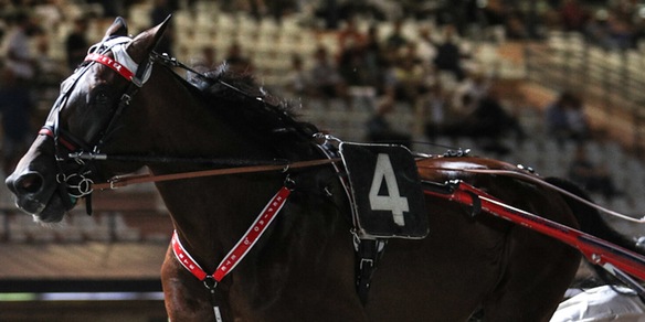 Zefiro d'Ete, un 2 da sfruttare